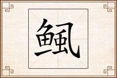 鲺怎么写