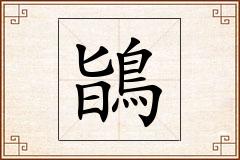 鴲怎么写