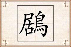 鶋怎么写