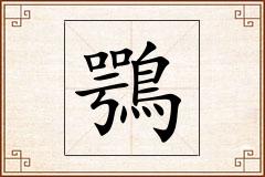 鶚怎么写