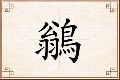 鶲怎么写