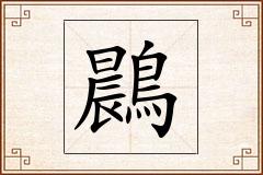 鷐怎么写