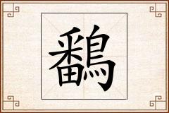 鷭怎么写