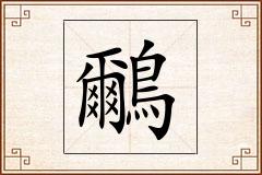 鸍怎么写