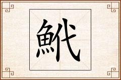 鮘怎么写
