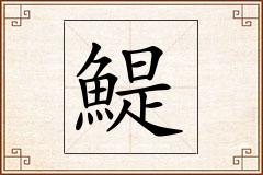 鯷怎么写