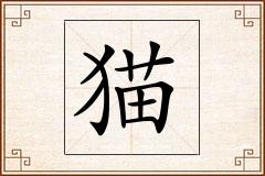 猫怎么写